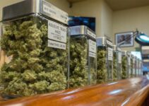 Trending Legislation: Cannabis & Zoning