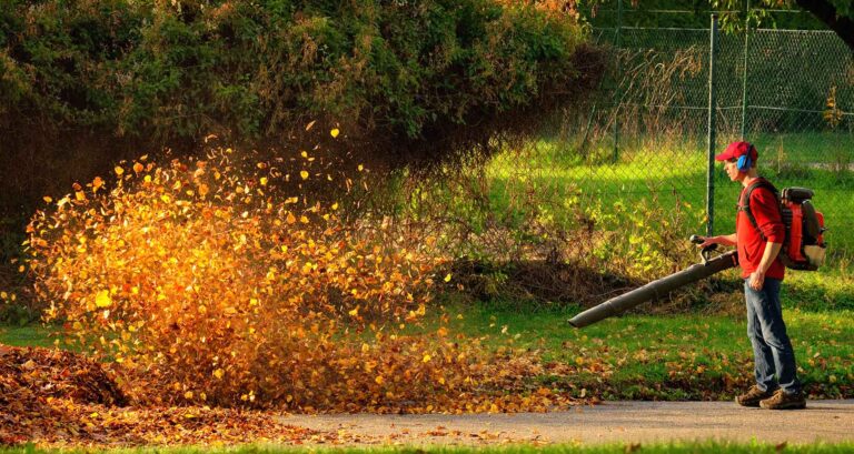 Leaf Blower Legislation