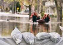 Natural Disaster Preparedness Legislation