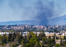 Planning in the Wildlife-Urban Interface in the age of increasing wildfire risk