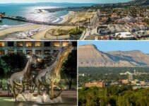 Strengthening Connections, Expanding Impact